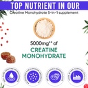 Adndale Creatine Monohydrate Gummies for Men & Women, 5000mg per Serving Creatine Supplement with Beta-Alanine, L-Citrulline & B12 - 75 Vegan Gummies. Sugar-Free 3