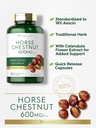 Carlyle Horse Chestnut Extract | 600mg | 180 Capsules | Herbal Supplement | Non-GMO, Gluten Free 5