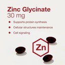 Protocol Zinc Glycinate 30mg - with Albion Traacs Zinc - Zinc Glycinate Supplement - Immune System Support* - Keto Friendly & Dairy Free - 120 Softgels 5