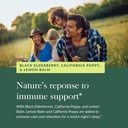 Gaia Herbs Black Elderberry, Nighttime Syrup - Immune Support Supplement - with Organic Black Elderberries, California Poppy & Lemon Balm for Restful Sleep & Immune Defense - 3 Fl Oz (18-Day Supply) 6