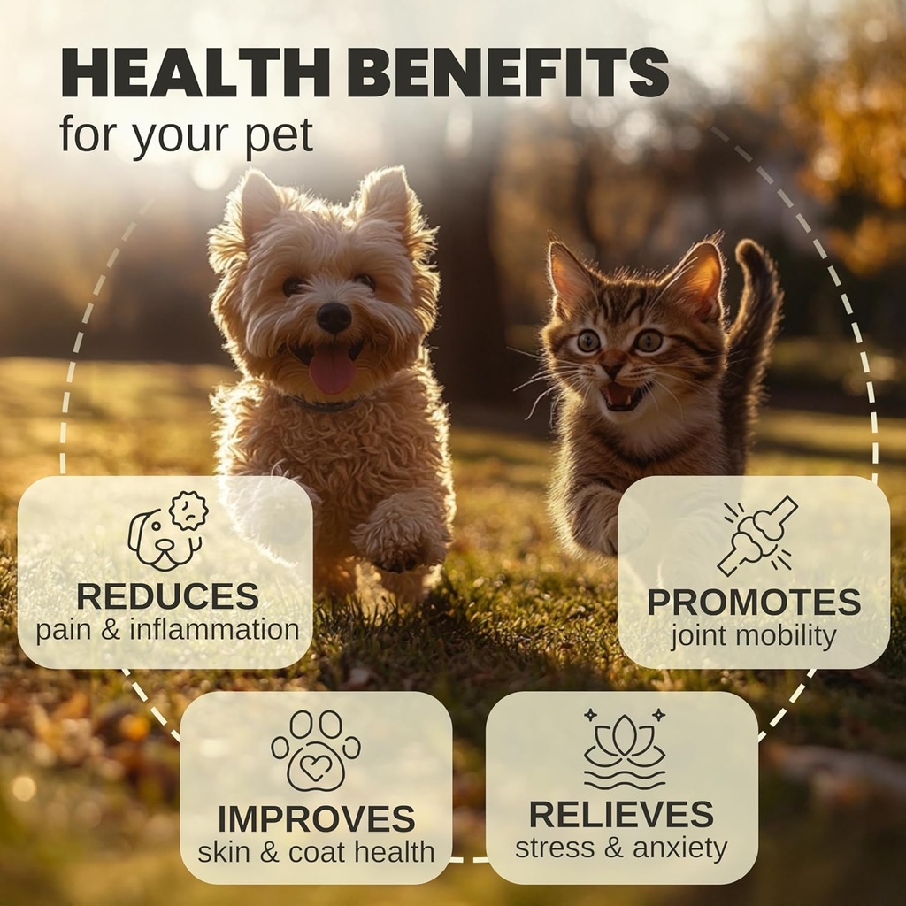 Billion Pets - Hemp Oil for Dogs and Cats - Helps with Anxiety, Pain, Stress, Sleep, Arthritis, Seizures Relief - Hip and Joint Support - Calming Drops 3