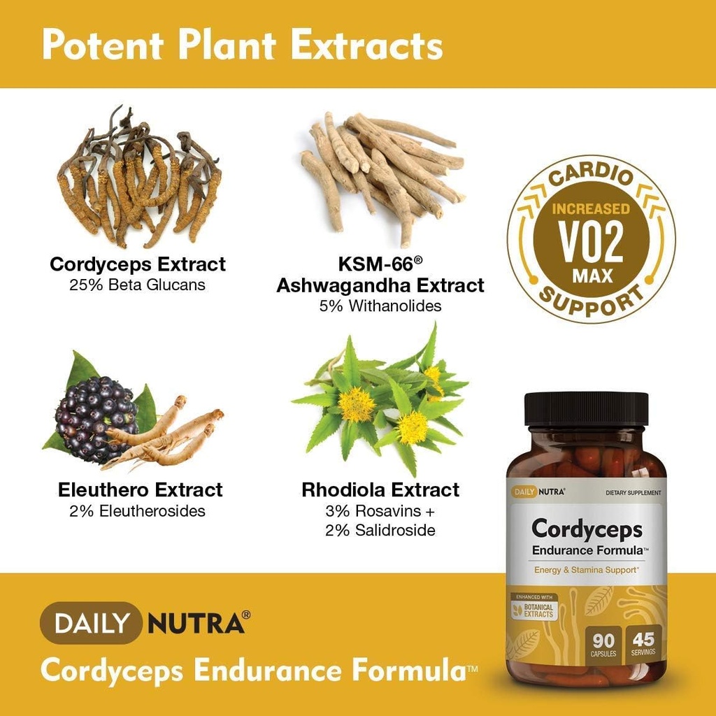 Cordyceps Endurance Formula Natural Energy Supplement - Caffeine Free | Organic Mushroom Extract with KSM-66 Ashwagandha, Eleuthero & Rhodiola (90 Capsules) 4