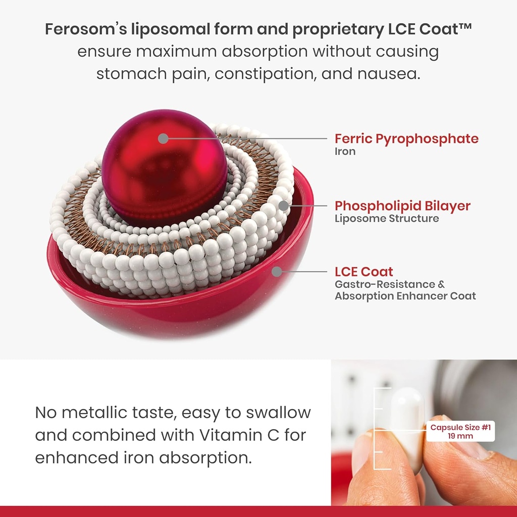 LCE Liposomal Iron Capsules – 30mg Elemental Iron with Vitamin C – Gentle Supplement for Women and Men – Easy-to-Swallow Vegan Capsules, 30 Count 3