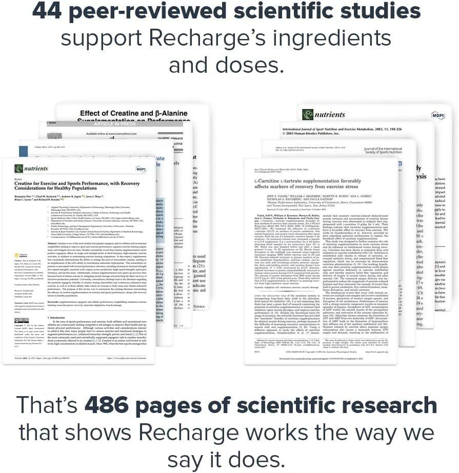 LEGION Recharge Post Workout Supplement - All Natural Muscle Builder & Recovery Drink with Micronized Creatine Monohydrate Naturally Sweetened & Flavored (Unflavored, 60 Servings, Pack of 1) 4