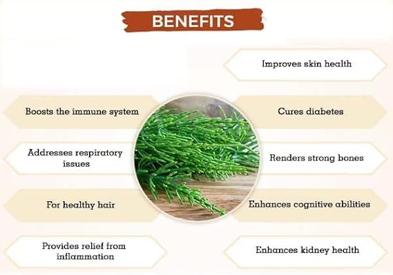 Met Herb Horsetail Extract-500mg Capsules 120 Count | Hair, Skin, & Nails Support | Promotes Urinary Tract Health | Strengthen Joints 4