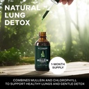betterbrand-mullein-lung-detox-drops-3-p-3.jpg