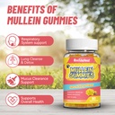 mullein-gummies-3000mg-sugar-free-mullei-6.jpg