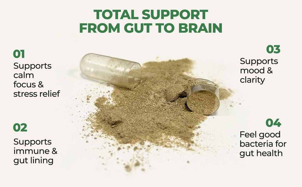 gut-brain-synergy-probiotic-nootropic-30-4.jpg