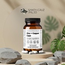 santa-cruz-paleo-zinc-copper-mineral-sup-2.jpg