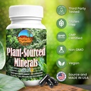 fulvic-humic-mineral-blend-of-plant-sour-3.jpg
