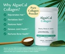 algaecal-calcium-vitamin-d3-collagen-bun-3.jpg
