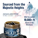pure-himalayan-shilajit-resin-500-mg-max-6.jpg