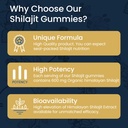 pure-himalayan-shilajit-gold-gummies-wit-6.jpg