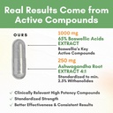 boswellia-extract-and-ashwagandha-capsul-4.jpg
