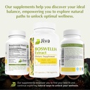 jiva-botanicals-boswellia-extract-capsul-6.jpg
