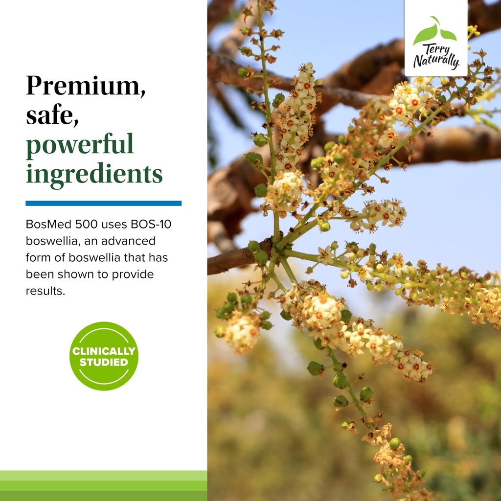 terry-naturally-bosmed-500-boswellia-ser-5.jpg