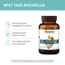 himalaya-boswellia-joint-support-for-mob-4.jpg