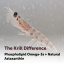 micro-ingredients-antarctic-krill-oil-su-5.jpg