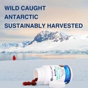 krill-oil-omega-3-astaxanthin-choline-dh-3.jpg