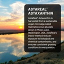 naturewise-triple-strength-astaxanthin-1-3.jpg