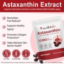 itsdawn-astaxanthin-12mg-2-pack-antioxid-2.jpg