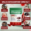 2pack-astaxanthin-supplements-12mg-premi-3.jpg