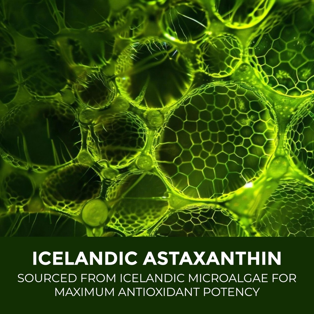 astaxanthin-12mg-antioxidant-supplement--2.jpg