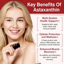 astaxanthin-12mg-from-natural-microalgae-6.jpg