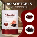astaxanthin-supplements-astaxanthin-anti-4.jpg
