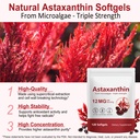 astaxanthin-12mg-natural-astaxanthin-sup-2.jpg