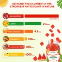 astaxanthin-12mg-supplements-gummies-ant-5.jpg