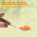 sea-moss-gel-raw-flavored-irish-seamoss--4.jpg