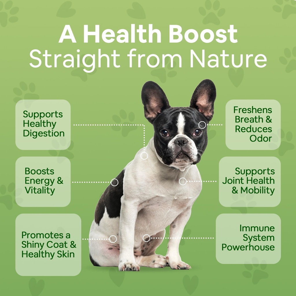 superfood-multivitamin-powder-dog-vitami-4.jpg