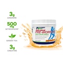 performance-inspired-nutrition-pre-worko-4.jpg