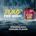 bsn-n-o-xplode-cool-rush-pre-workout-pow-4.jpg