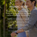 nac-600mg-zero-fillers-potency-verified--3.jpg