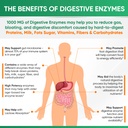 wholesome-wellness-digestive-enzymes-100-6.jpg