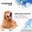thornevet-canine-geriatric-basics-senior-6.jpg