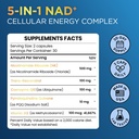 nad-supplement-with-500mg-nr-resveratrol-4.jpg