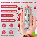 zooone-nad-supplement-30pcs-premium-nico-3.jpg