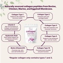 micro-ingredients-multi-collagen-protein-4.jpg
