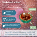 igennus-longvida-lipidated-curcumin-500m-5.jpg