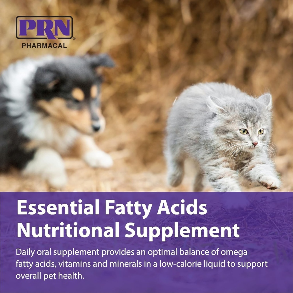 prn-pharmacal-optima-365-essential-fatty-5.jpg