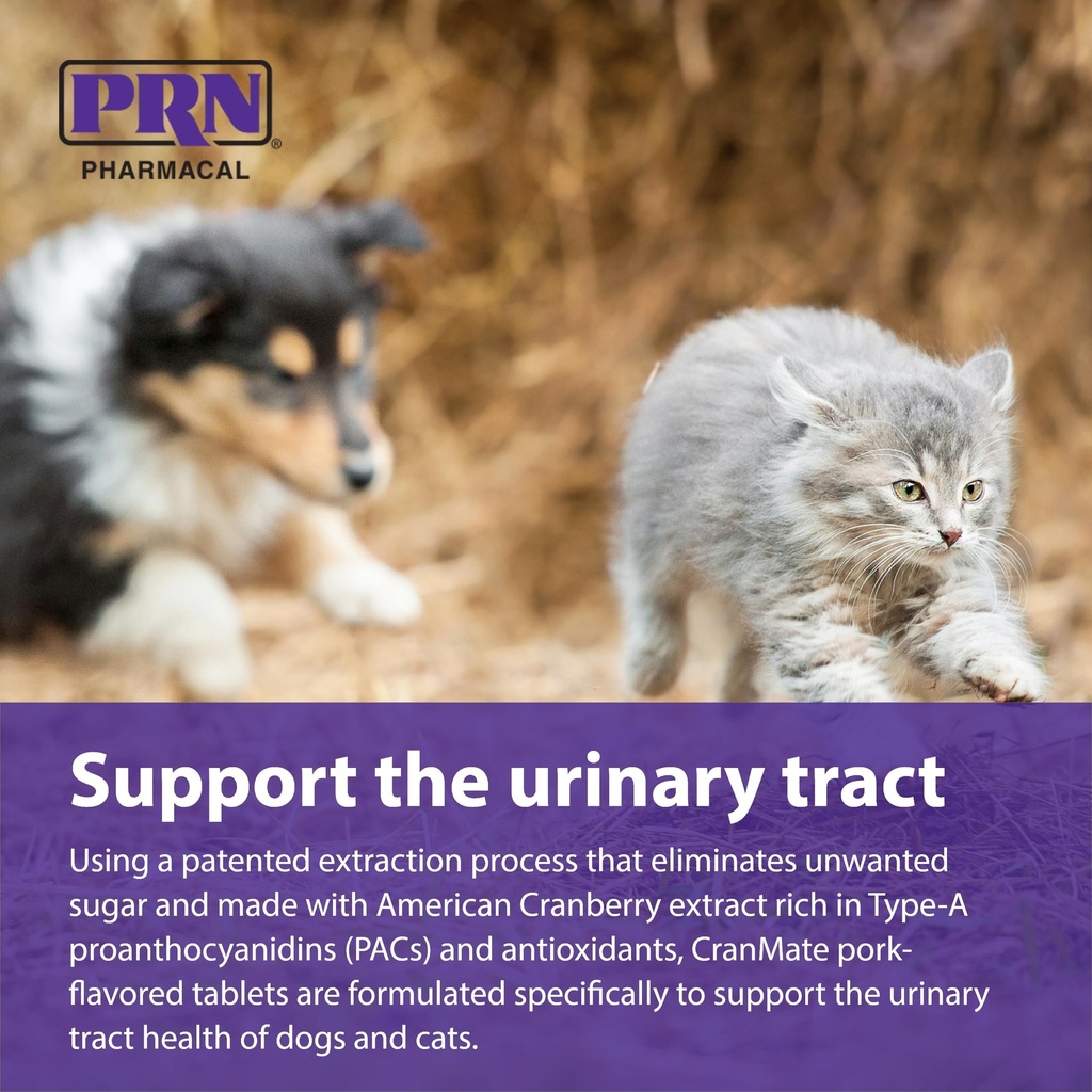 prn-pharmacal-cranmate-cranberry-supplem-5.jpg