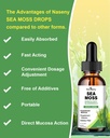 sea-moss-liquid-drops---high-absorption--6.jpg