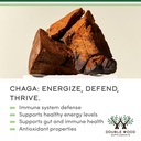 chaga-mushrooms-capsules-120-count-1-000-4.jpg
