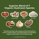 nature-s-lab-mushroom-7-organic-blend-be-3.jpg