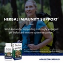 host-defense-agarikon-capsules-immune-sy-4.jpg