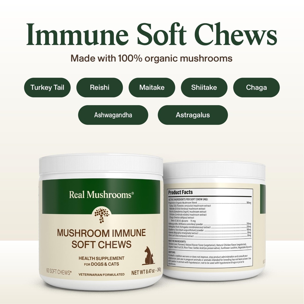 real-mushroom-immune-pet-chews-for-daily-3.jpg