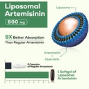 900-mg-liposomal-artemisinin-for-maximum-2.jpg